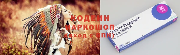 индика Волосово