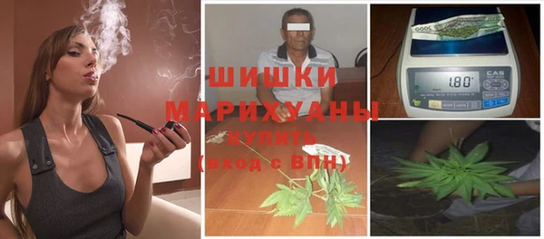 гидра Семилуки