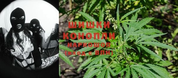индика Волосово