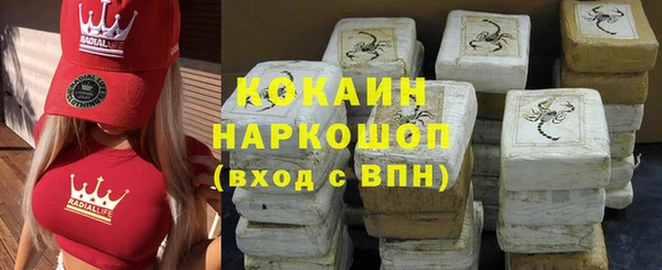 спиды Бородино