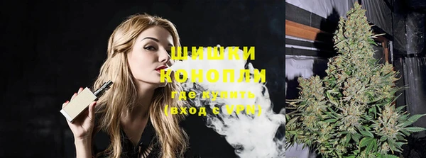 индика Волосово